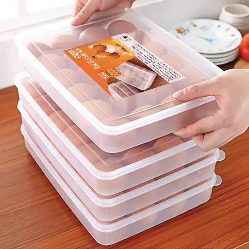 20 grid egg storeg box 