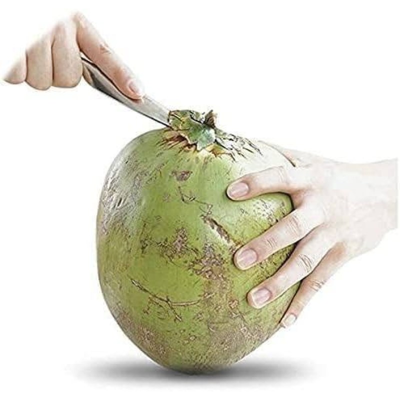 ???? Coconut Opener & Puncher 